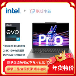 Lenovo 联想 小新 Pro14超能本 14英寸轻薄笔记本电脑（16G 1T）鸽子灰