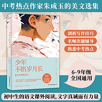 少年不惧岁月长中考语文，6-9年级通用，，语文，作文，阅读题，朱成玉美文集，语文特级教师，解析