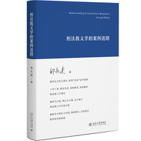 刑法教义学的案例进路