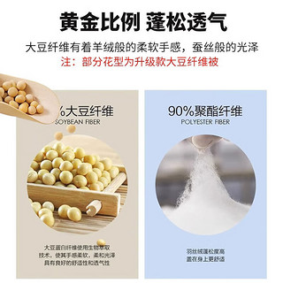 无印良品A类大豆纤维被子秋冬棉被加厚家用双人被褥被芯220×240cm夏凉被 抑菌大豆被-卡其灰