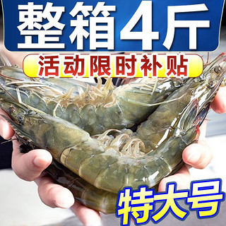 冰鲜部族 黄海大虾 4斤 16-18厘米