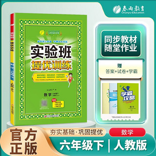 2024实验班提优训练六年级数学下册 人教版 6年级下册 数学 人教版