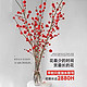 致荟树 水培红梅带花苞 80cm 10枝