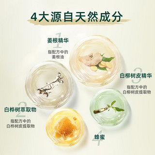 88VIP：THE BODY SHOP 英国The Body Shop美体小铺防脱生姜清洁洗发水清爽止痒400ml*2