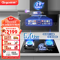 顾家（Gujia）抽油烟机灶具套装29立方大吸力家用自清洗油烟机5.0KW定时燃气灶两件套（液化气）