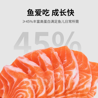 老漁匠 贴片鱼食饲料小型鱼热带鱼通用鱼食饲料孔雀鱼观赏鱼灯科鱼鱼粮 贴片型饲料-小型鱼通用150g