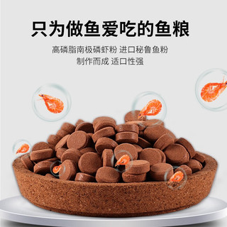 老漁匠 贴片鱼食饲料小型鱼热带鱼通用鱼食饲料孔雀鱼观赏鱼灯科鱼鱼粮 贴片型饲料-小型鱼通用150g