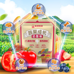 cheespirit 酪神世家 五维蔬果奶酪棒 30支