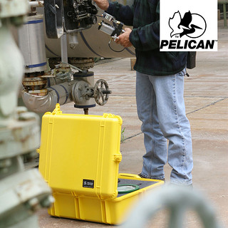 派力肯（PELICAN） 1560防护箱户外防水箱塘鹅摄影器材箱拉杆箱仪器仪表减震周转箱三防箱 黄色-空箱