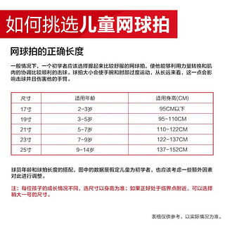 天龙儿童网球拍初学单人套装手胶避震器训练网球 3501-25寸蓝红（球场训练，9-12岁以下