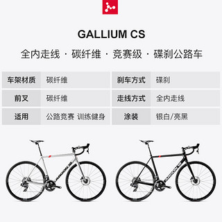 ARGON18 GALLIUM CS DISC 全内走线碳纤维公路自行车