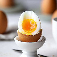 88VIP：晨诚 新鲜土鸡蛋正宗农家散养柴鸡蛋自养笨鸡蛋45g*50枚谷物草鸡蛋