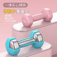 实心铸铁浸塑哑铃 1kg*2
