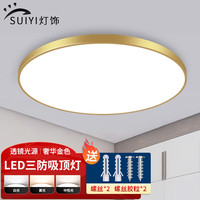 岁艺 SHUIYI三防吸顶灯LED超薄卧室灯具卫生间灯走廊过道灯金边24W白光