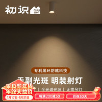 初识 卧室led明装射灯小山丘洗墙全光谱天花灯无副光斑免吊顶 全白-版 7W 3000K暖黄光