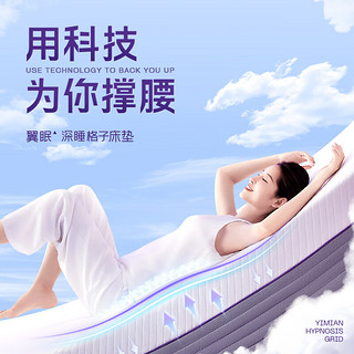 翼眠翼眠深睡格子床垫TPE材质防螨防水单双人家用舒适透气厚款1.2m×2m