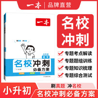 2024一本小升初小学总复习语文数学英语小学升初中总复习六年级名校冲刺必备方案小升初知识大盘点小学毕业升学考试总复习专项训练小学名师总复习考试训练 数学 小学升初中