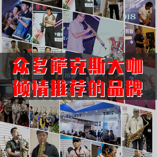 磷铜 台湾萨尔特高音萨克斯乐器直管降b调SP-6700专业演奏款