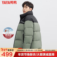 鸭鸭羽绒服鸭鸭(YAYA)鹅绒羽绒服男短款冬季时尚潮流拼接立领防风保暖外套QZ 绿色 170