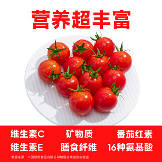 串番茄樱桃小西红柿198g*4盒新鲜采摘酸甜