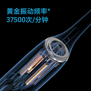 飞科（FLYCO）电动牙刷成人款/女友 新年 智能声波震动软毛刷FT7105深海蓝-礼盒 【表白礼盒】|深海蓝