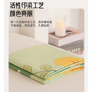 南极人加厚老粗布床单单件亚麻棉麻纯棉100全棉被单150*180*200米被单 SA-超级恐龙-亲肤裸睡 细腻亲肤 150*230CM单床单