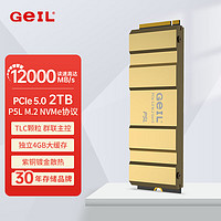 GEIL金邦 P5L固态硬盘PICE5.0台式机SSD笔记本电脑M.2(NVMe协议)高速12000 P5L 2T 高速12000M/S