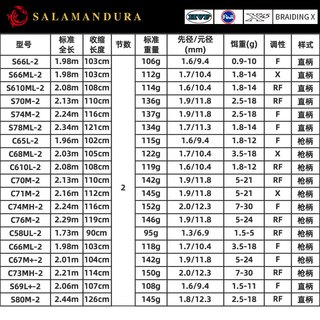 DAIWA 达亿瓦 22SALAMANDURA MX 火蜥蜴路亚竿翘嘴鲈鱼杆 远投竿 2.44m S80M-2