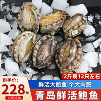 海宏盈 鲍鱼1000g 鲜活大鲍鱼新鲜贝类青岛海鲜佛跳墙火锅食材生鲜 2斤鲜活鲍鱼10-12只