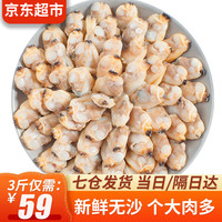 往牧 花甲肉/蛤蜊肉 新鲜无沙 花蛤肉 蚬子肉 冷冻海鲜 贝类 500g*3袋