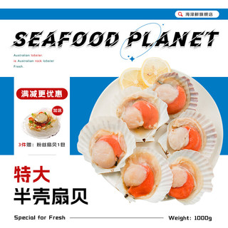 海泽鲜 鲜冻虾夷半壳特大扇贝1000g 海鲜烧烤食材粉丝扇贝肉 特大半壳扇贝1000g（10-12只）