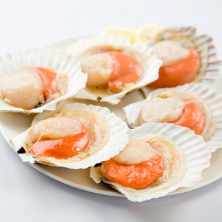 海泽鲜 鲜冻虾夷半壳特大扇贝1000g 海鲜烧烤食材粉丝扇贝肉 特大半壳扇贝1000g（10-12只）