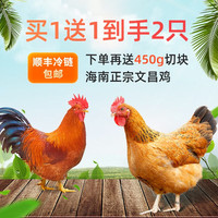 潭牛海南文昌鸡 散养土鸡整鸡椰子鸡生鲜鸡肉新鲜 散养小公鸡2只净重4斤