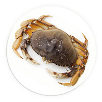 渔传播 加拿大珍宝蟹太子蟹单只1.2斤大螃蟹鲜活水产