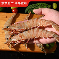 京东超市 海外直采 澳洲生褐虎虾 300克 8-12只/盒