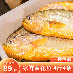 鸿顺 黄花鱼4条4斤 生鲜鱼类 宁德大黄鱼 源头直发
