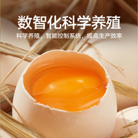 喵满分 新鲜谷物鸡蛋50枚4.5斤