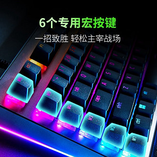 雷蛇（Razer）黑寡妇蜘蛛V4专业版 V4 X游戏机械键盘 沉浸式RGB灯效带多功能自定义按键旋钮 V4 （104+6键 绿轴 皮质腕托）