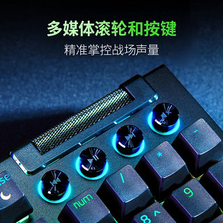 雷蛇（Razer）黑寡妇蜘蛛V4专业版 V4 X游戏机械键盘 沉浸式RGB灯效带多功能自定义按键旋钮 V4 （104+6键 绿轴 皮质腕托）