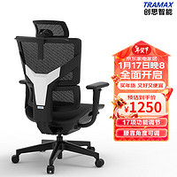 TRAMAX 创思智能 RX3 电脑椅人体工学椅办公电竞椅游戏椅家用网椅 RX3L经典黑