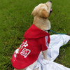 Lanswood 狗狗衣服拉布拉多金毛大型犬小型犬泰迪柯基柴犬狗衣服中大型犬 红衣-中国年兽