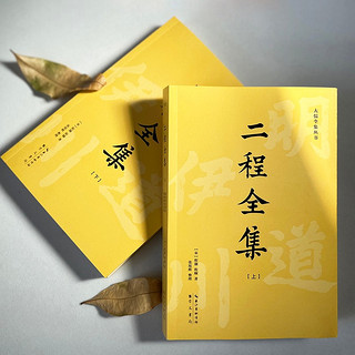 二程全集：宋明理学开山巨，涂宗瀛刻本简体横排新校版（全2册）