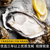 鲁禧 乳山生蚝鲜活6XL特大牡蛎 山东地标产品 新鲜海蛎子 刺身级生蚝 【特大号4XL号箱装5斤】约10-14只