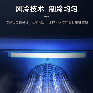  AUCMA/澳柯玛 风冷 商用立式冰柜  黑色 380L