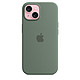 Apple 苹果 iPhone15/15 Plus 专用 MagSafe 手机壳保护壳