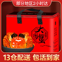 御鲜之王 大闸蟹鲜活现货生鲜螃蟹礼盒 公4.3-4.6两/母2.7-3.0两5对10只