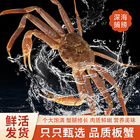 芮宝农场 松叶蟹鲜活俄罗斯板蟹长脚蟹海鲜水产大螃蟹 1-1.5kg/只