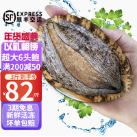 时寐东山岛九孔大鲍鱼深海海鲜东山岛直发火锅烧烤海鲜水产春节 6头/500克