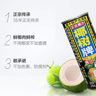 椰树牌椰子汁椰汁245ml*6罐/组椰树不添加香精