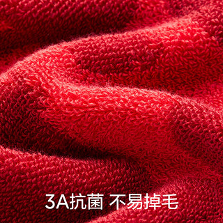 蕉内红色计划×艺术家合作款纯棉毛巾本命年龙年红色洗脸洗澡强吸水 飞腾龙龙